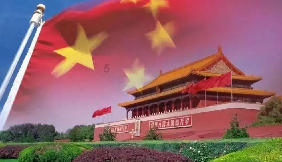 你见过／听过哪些宠物对主人暖心行为？游戏画面